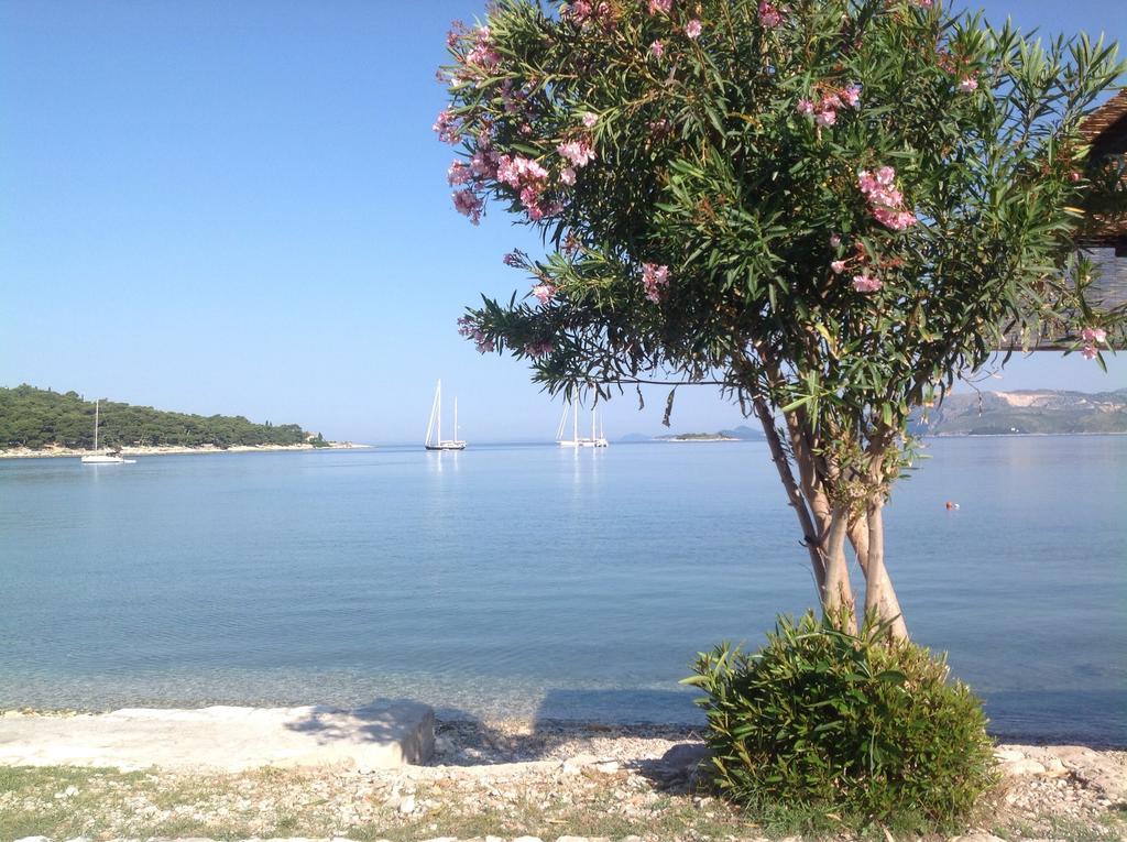 Apartment Biserka Cavtat Cameră foto